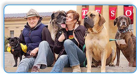 dogs behavior trainer philadelphia